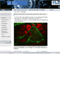 Mobile Screenshot of biophotonics.uni-hannover.de